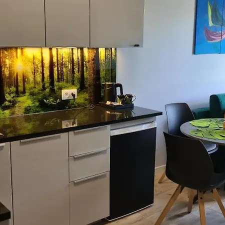 Apartament Felek *