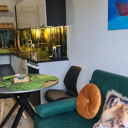 Apartament Felek